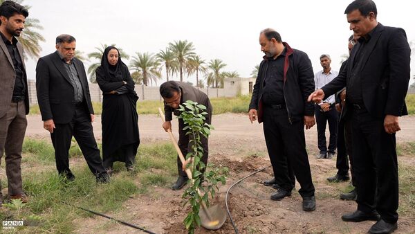 کاشت نهال نارنج به یاد دانش آموزان شهید مدرسه میناب