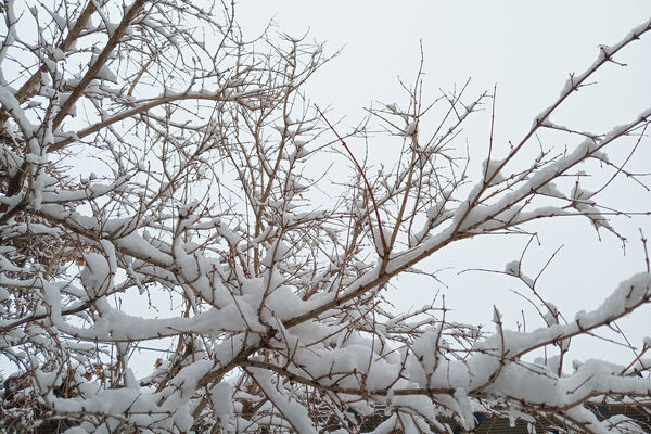 یک روز برفی در روستای بنادکوک‌ دیزه