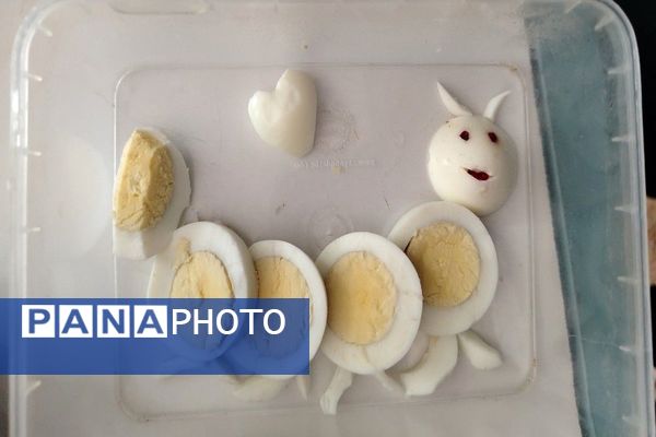 روز جهانی تخم مرغ در دبیرستان شهید مجید دهنوی نیشابور