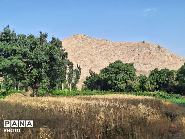 وقتی طبیعت، حرف می‌زند