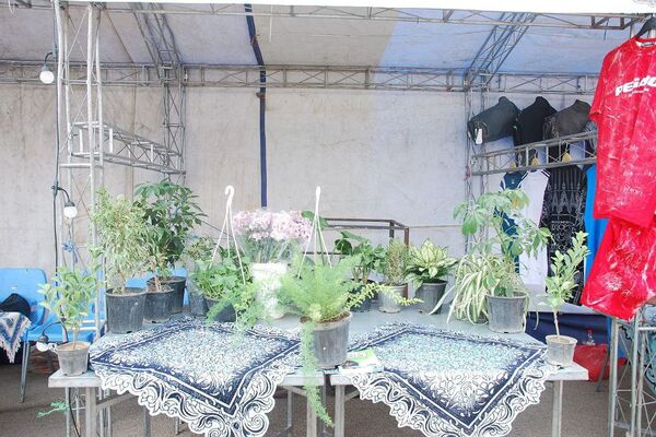 افتتاح نمایشگاه دهه ولایت در بوستان زیتون شهر قیامدشت