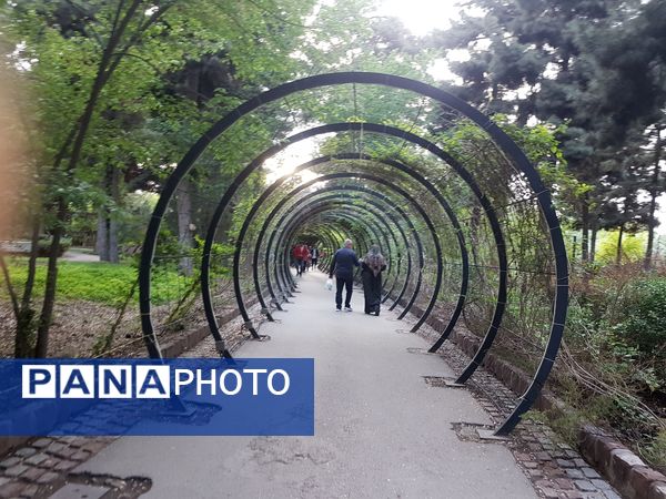 اردیبهشت زیبای باغ گیاهشناسی مشهد