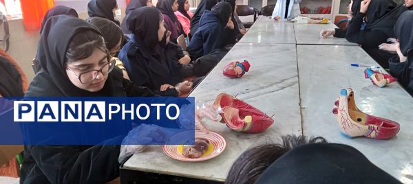 برگزاری کارگاه آموزشی تشریح قلب در آموزشگاه دخترانه عصمت ملارد