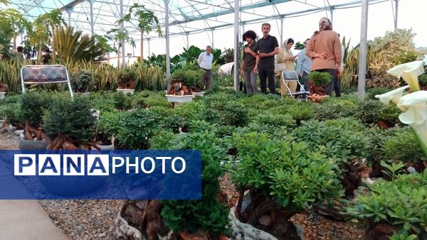 جشنواره گل‌و‌گیاه در محلات