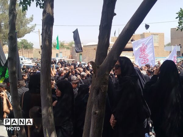 حرکت دسته‌های عزاداری در روستای فدافن همزمان با روز تاسوعای حسینی