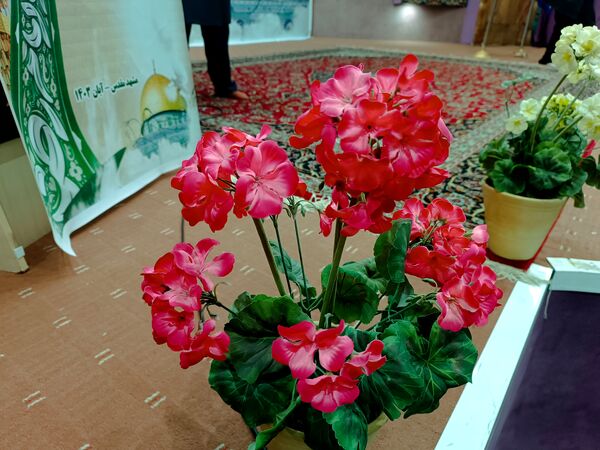 اردوی زیارتی کبوترانه تا قدس در مشهد مقدس