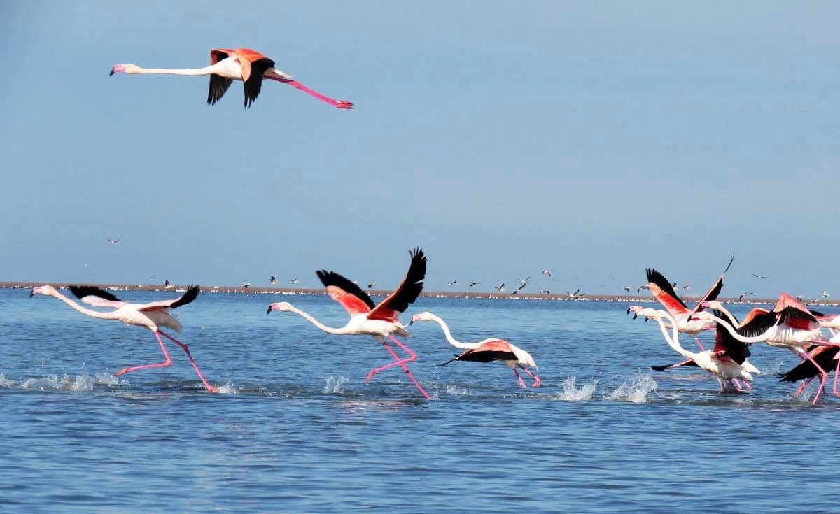 افزایش متوسط پایش آبی سالانه تالاب‌های کشور به ۶۰ درصد