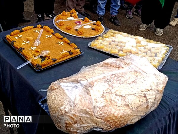 مراسم گرامیداشت چهلمین روز شهادت دانش‌آموزان میناب در شهرستان اسلام‌آباد غرب