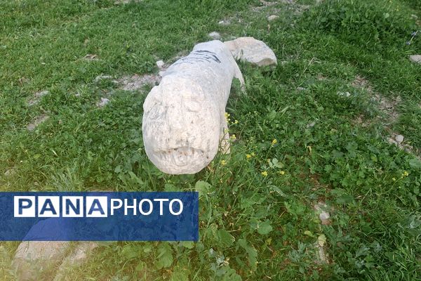 قبرستانی تاریخی و سرسبز به قدمت چند صد ساله در فارس