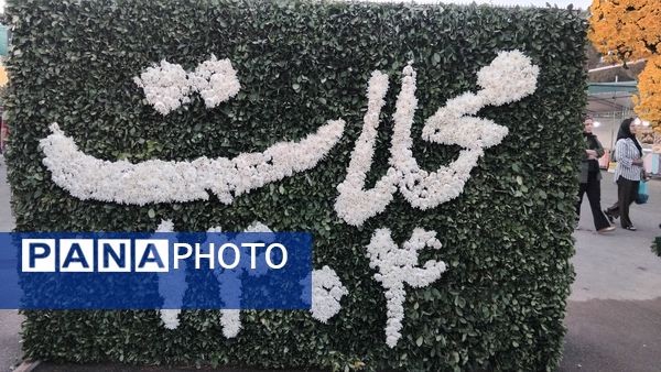 هشتمین فرش سرگل قاره کهن؛ جلوه‌گاه هنر و اصالت در محلات