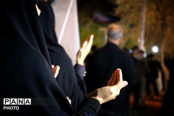 شب‌های متفاوت جهرم