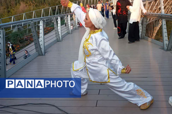 همایش بزرگ ووشو به‌مناسبت هفته تربیت‌بدنی در تهران