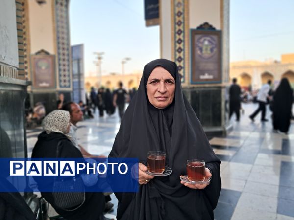 کبوتر حرم مشهد مقدس