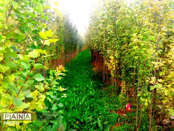 وانان؛ جایی که طبیعت خودش را آشکار می‌کند