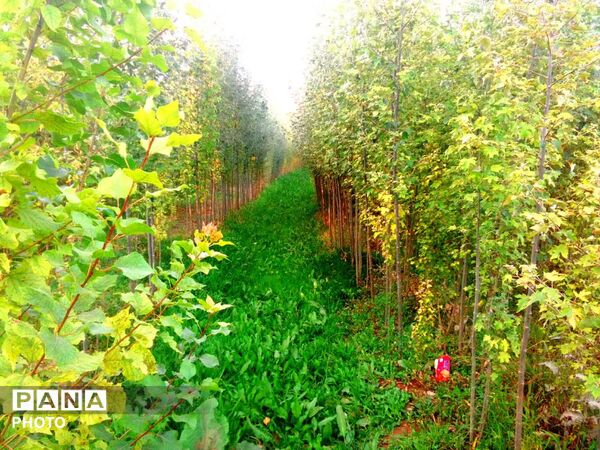 وانان؛ جایی که طبیعت خودش را آشکار می‌کند