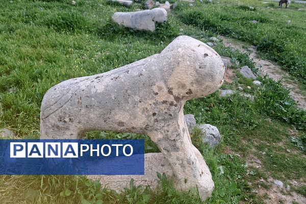 قبرستانی تاریخی و سرسبز به قدمت چند صد ساله در فارس