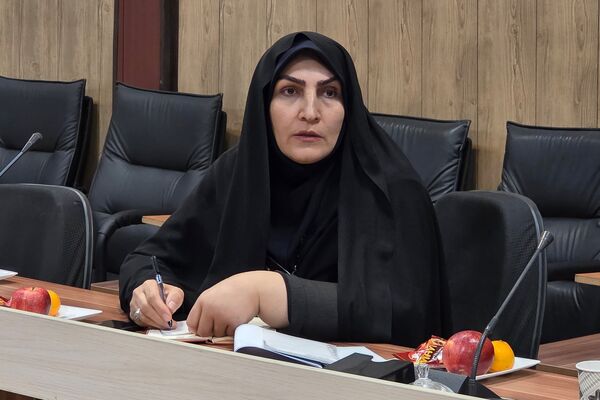 سومین جلسه شورای آموزش و پرورش ناحیه دو بهارستان