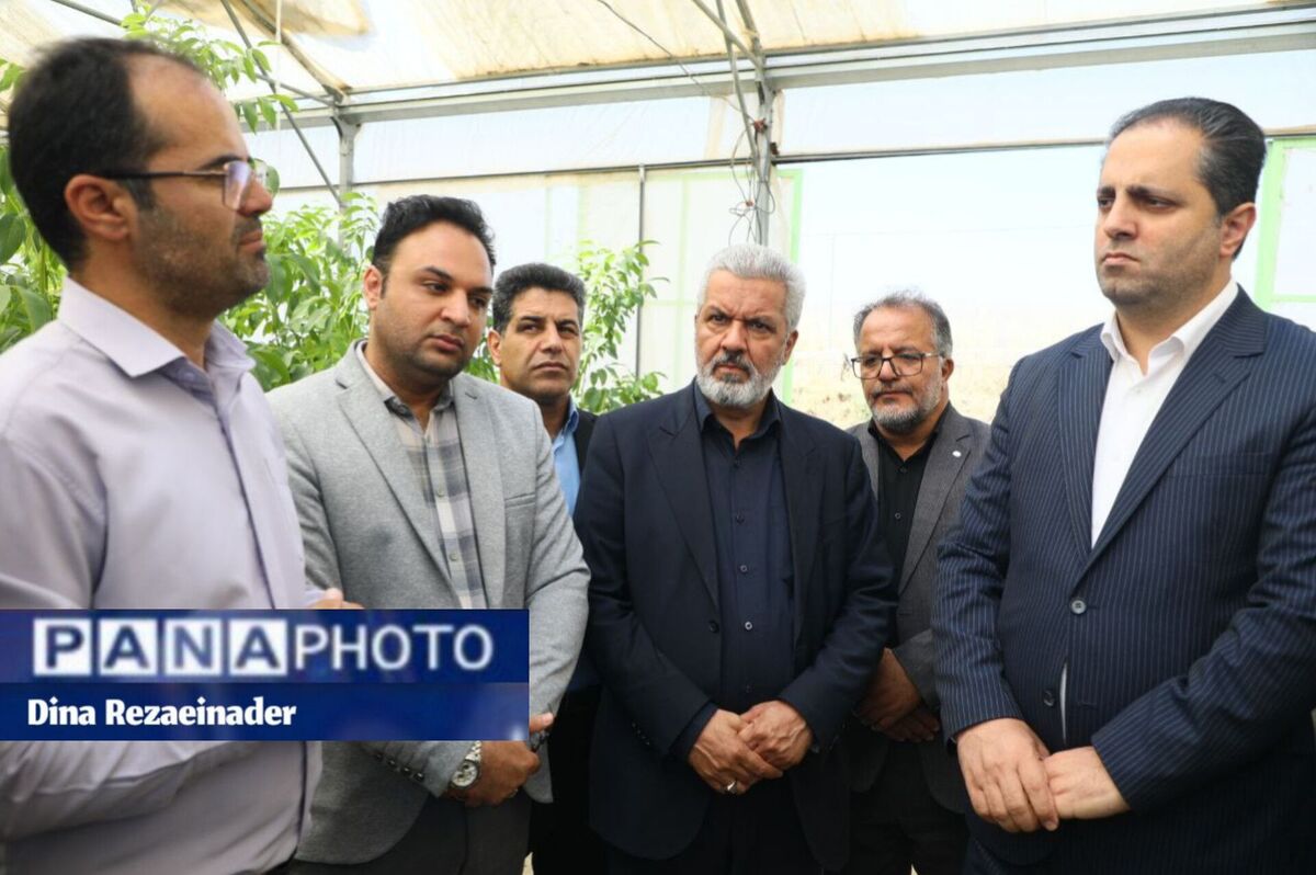 معاون اقتصادی استانداری همدان پیگیر توسعه زنجیره تولید گردو شد