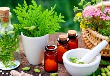 سفری به دنیای گیاهان دارویی؛ مرز میان سلامت و خطر