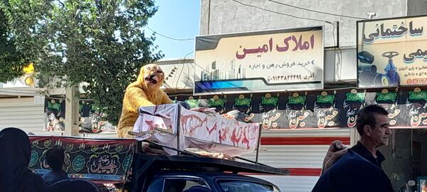 عزاداری مردم شهر بن در روز عاشورا 