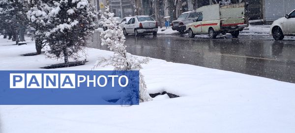 شهر نیشابور سفید پوش شد 