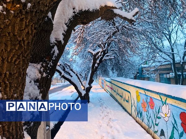 بارش برف جلوه ای از نعمت الهی در روزهای سفید باخرز