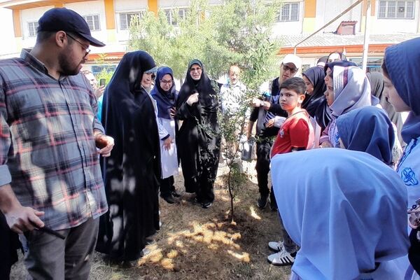 همایش پیاده‌روی شهر پویا در رشت