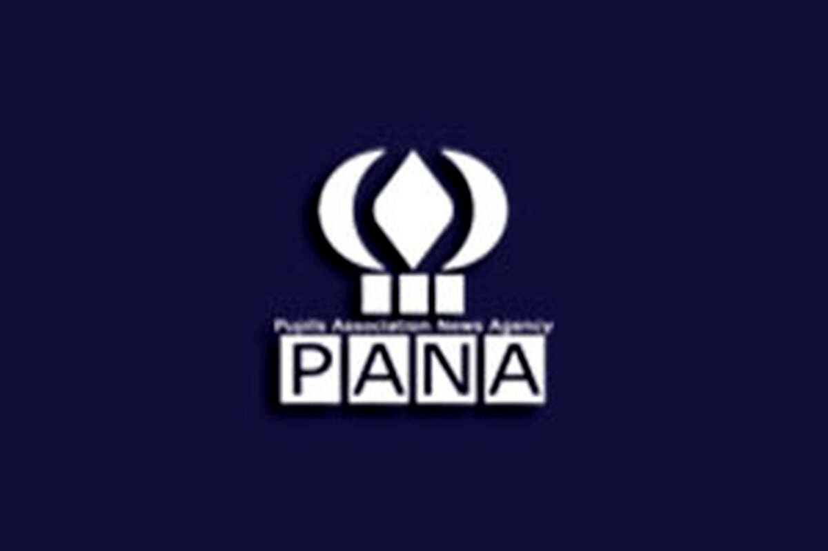 پانا؛ قصه قلم‌هایی که هرگز نشکست