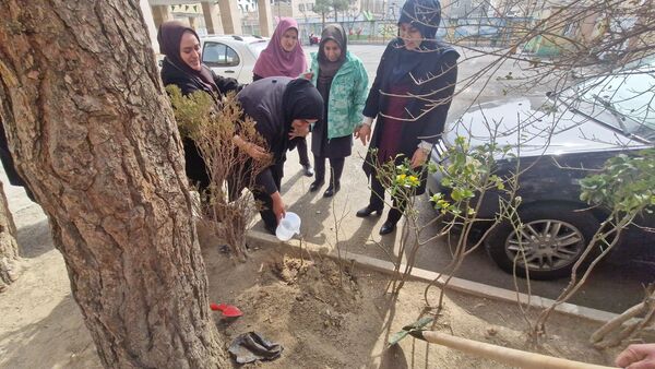 زینت بخشی مدارس شهرستان قدس با کاشت نهال های جوان