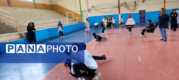 برگزاری طرح پویا در شیروان