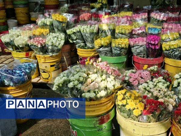 حال و هوای خاص در بازار گل محلاتی