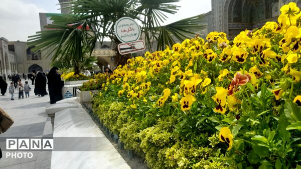 چهارشنبه زیارتی رضوی، آغازی دوباره برای برآورده شدن آرزوها 