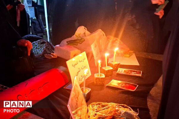 اجتماع با شکوه شهرستان ملارد در چهلم شهدای میناب