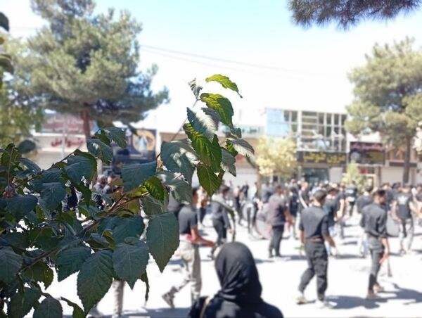 مراسم عزاداری و زنجیر زنی به مناسبت شهادت امام حسن عسکری«ع»