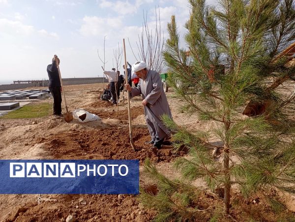 کاشت نهال در آرامستان روستای گزکوه