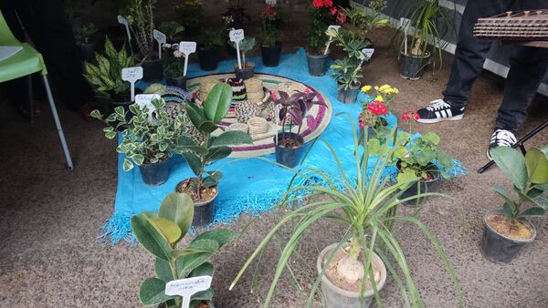 جشنواره مغ مهرگان جشن خرما و فرهنگ در حاجی‌آباد