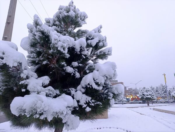 لباس زیبای برفی بر تَن اهر
