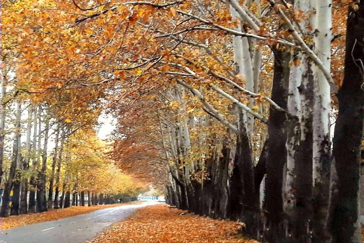 هرچه می‌گذرد، بیشتر به شبی سردتر و طولانی‌تر نزدیک می‌شویم