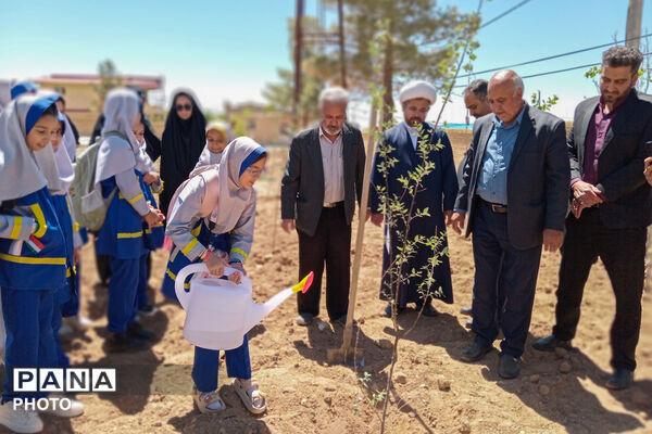 کاشت نهال در اردوگاه شهید سلیمانی منطقه نیر به یاد شهدای مظلوم میناب