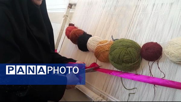 قاب های ماندگار از روستای شیاسی در استقبال از پرچم متبرک حرم امام حسین(ع)