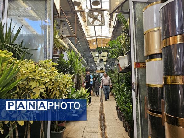 حال و هوای خاص در بازار گل محلاتی