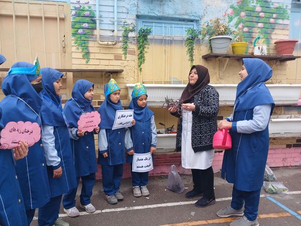 قدم به قدم با کاشت درخت تا سرزمینی سرسبز
