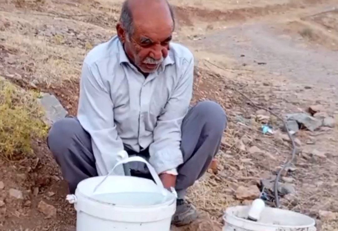 معلم بازنشسته خرم‌آبادی با کاشت و آبیاری درختان، کوه گر در منطقه مخمل‌کوه را زنده کرد