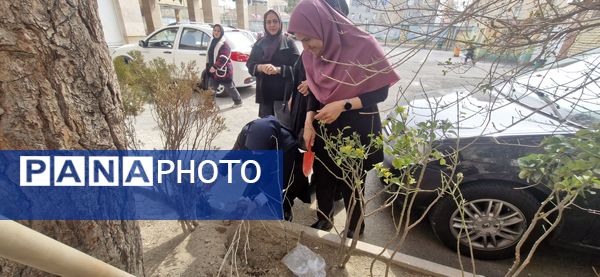 زینت بخشی مدارس شهرستان قدس با کاشت نهال های جوان