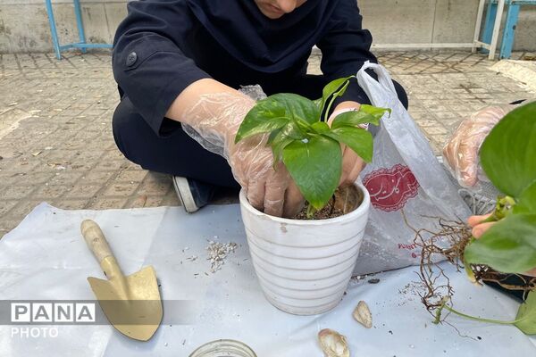 گلکاری در دبیرستان دخترانه الزهرا
