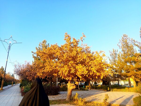 طبیعت زیبای کاشمر در پاییز