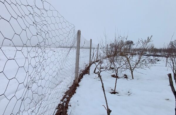 مناظر زیبای باغات روستای بوژمهران پس از بارش برف بهاری ۲۰ سانتیمتری 