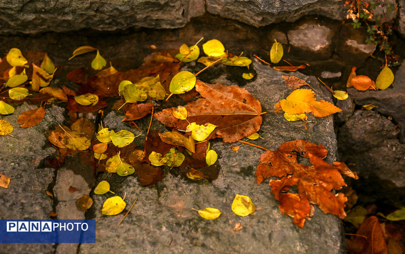 پاییز خیال انگیز در پارک جمشیدیه