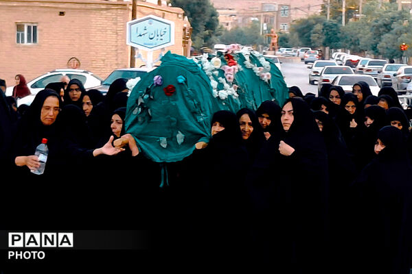 شهر بهمن در سوگ هشتمین اختر امامت
