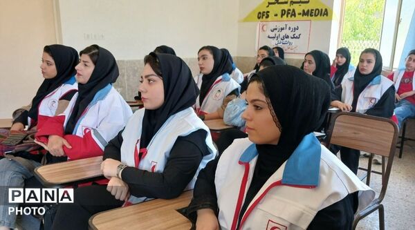 برگزاری دوره آموزشی کمک‌های اولیه روانشناختی در فارسان